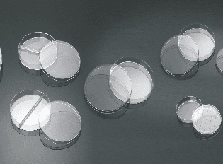 Petri Dishes 90mm